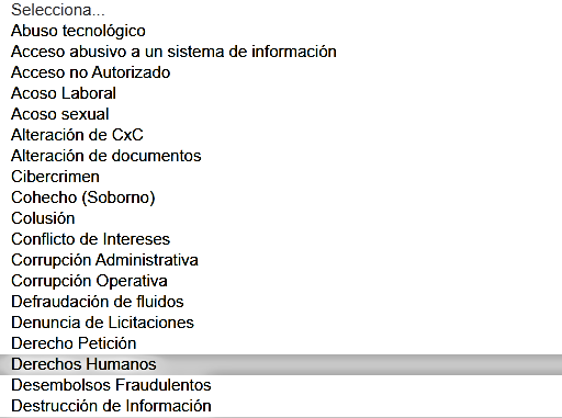 Imagen sistema tipo de incidente derechos humanos seleccionado